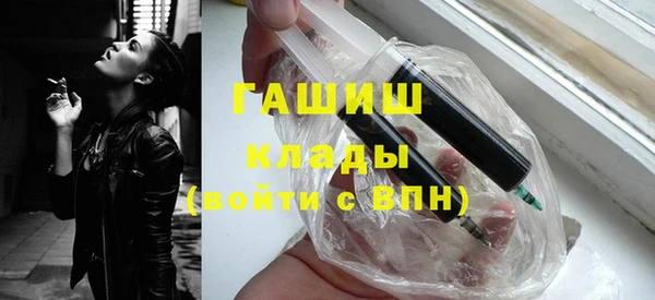 стаф Алзамай