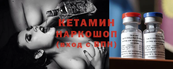 стаф Алзамай