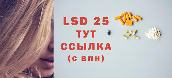 стаф Алзамай